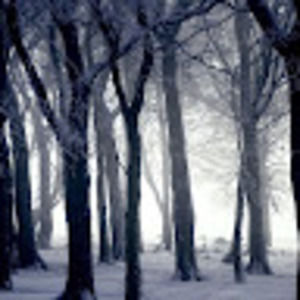 Meet your Posher, Joshua